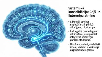 Презентация 'Kādēļ studenti aizmirst pēc eksāmeniem?', 10.
