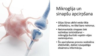 Презентация 'Kādēļ studenti aizmirst pēc eksāmeniem?', 11.