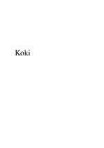 Конспект 'Koki', 1.