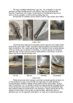 Конспект 'Metālu ķīmiskā korozija', 8.