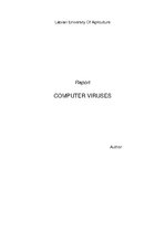 Конспект 'Computer Viruses', 1.