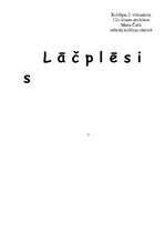 Эссе 'A.Pumpurs "Lāčplēsis"', 1.