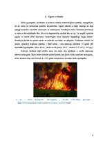 Реферат 'Meža ugunsgrēku ietekme uz priežu jaunaudžu sanitāro stāvokli', 4.