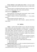 Отчёт по практике 'Finanšu vadības prakse', 17.