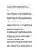 Конспект 'Uzņēmējdarbība: teorija, prakse un ilgtspējīgas attīstības aspekti', 2.