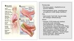 Презентация 'Cistiskā fibroze (CF), jeb mukoviscidoze E84', 6.