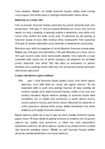 Конспект 'Satversmes sapulces darbība pēc Latvijas neatkarības pasludināšanas', 4.