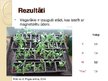 Презентация 'Laistāmā sastāva ietekme uz tomātu augšanu', 11.