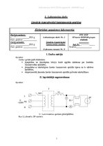 Образец документа 'Lineārās (cauruļveida) luminiscentās spuldzes (Kasperuks)', 1.