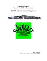 Реферат 'Street Drug Slang Words for Marijuana', 1.