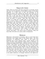 Реферат 'Street Drug Slang Words for Marijuana', 4.