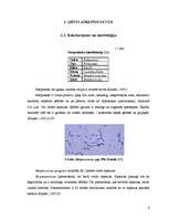 Реферат 'Ģints "streptococcus" mikroorganismu izolēšana no patoloģiskā materiāla un ident', 4.
