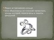 Презентация 'Латвийские украшения. Железный век', 18.