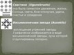 Презентация 'Латвийские украшения. Железный век', 24.
