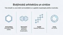 Презентация 'Neiromediatori', 4.