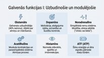 Презентация 'Neiromediatori', 6.