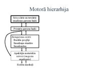 Презентация 'Kustību un pozas regulācija', 6.