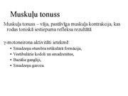 Презентация 'Kustību un pozas regulācija', 18.