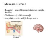 Презентация 'Kustību un pozas regulācija', 26.