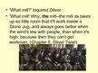 Презентация 'Oliver Twist by Charles Dickens', 12.