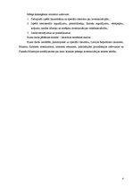 Реферат 'Inventarizācijas būtība un tās organizēšanas kārtība uzņēmuma grāmatvedībā', 4.