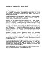 Эссе 'Mazkapitāla SIA analīze un raksturojums', 1.