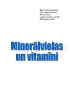 Реферат 'Minerālvielas, vitamīni', 1.