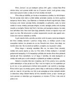 Эссе 'Filmas "Samsara" recenzija', 2.