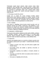 Реферат 'Kāpēc mūsdienu jaunieši izvēlas piedzīvojumus, nevis mantas', 12.