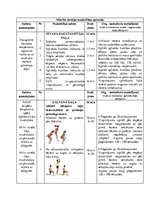 Конспект 'Ātrspēka attīstīšana kāju muskulatūrai ar ķermeņa personīgo svaru', 2.