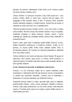 Эссе 'Mīlēt grāmatu – tas ir meklēt sabiedrotos', 2.