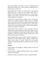 Эссе 'Mīlēt grāmatu – tas ir meklēt sabiedrotos', 5.