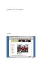 Реферат 'E-commercial Activity Analysis on www.pykett-tractors.co.uk', 17.