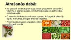 Презентация 'Askorbīnskābe (C vitamīns)', 4.