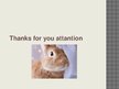 Презентация 'Rabbit Communication Skills', 7.