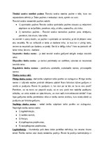 Конспект 'Tiesību teorijas, filozofijas un vēstures jautājumi', 8.