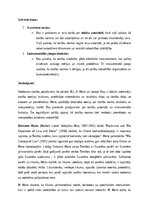 Конспект 'Tiesību teorijas, filozofijas un vēstures jautājumi', 71.