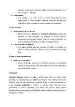 Конспект 'Tiesību teorijas, filozofijas un vēstures jautājumi', 82.