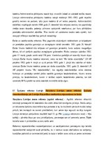 Конспект 'Tiesību teorijas, filozofijas un vēstures jautājumi', 120.