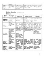 Отчёт по практике 'Kvalifikācijas prakse pirmsskolā 3. posms', 15.