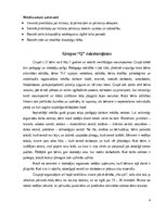 Отчёт по практике 'KVALIFIKĀCIJAS PRAKSE PIRMSSKOLĀ 3.posms', 4.