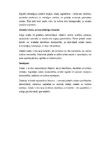 Эссе 'Valoda kā domāšanas un kultūras veidotāja: starp tradicionālo un globālo', 2.