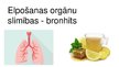 Презентация 'Bronhīts - elpošanas orgānu sistēmas slimība', 1.