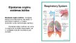 Презентация 'Bronhīts - elpošanas orgānu sistēmas slimība', 2.