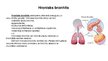 Презентация 'Bronhīts - elpošanas orgānu sistēmas slimība', 5.