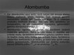 Презентация 'Atombumbas', 2.
