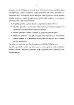 Отчёт по практике 'Dažādu organizāciju personāldaļu darba novērošanas un salīdzināšanas prakse SIA ', 17.