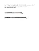 Конспект 'Integrētās rotļnodarbības plāns ar dabaszinību dominanti', 3.