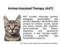 Презентация 'Animal-Assisted Therapy', 1.