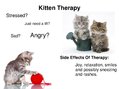 Презентация 'Animal-Assisted Therapy', 7.